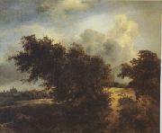 Jacob van Ruisdael The Bush (mk05) Sweden oil painting artist